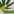 Packaging for Herbal CBD Product