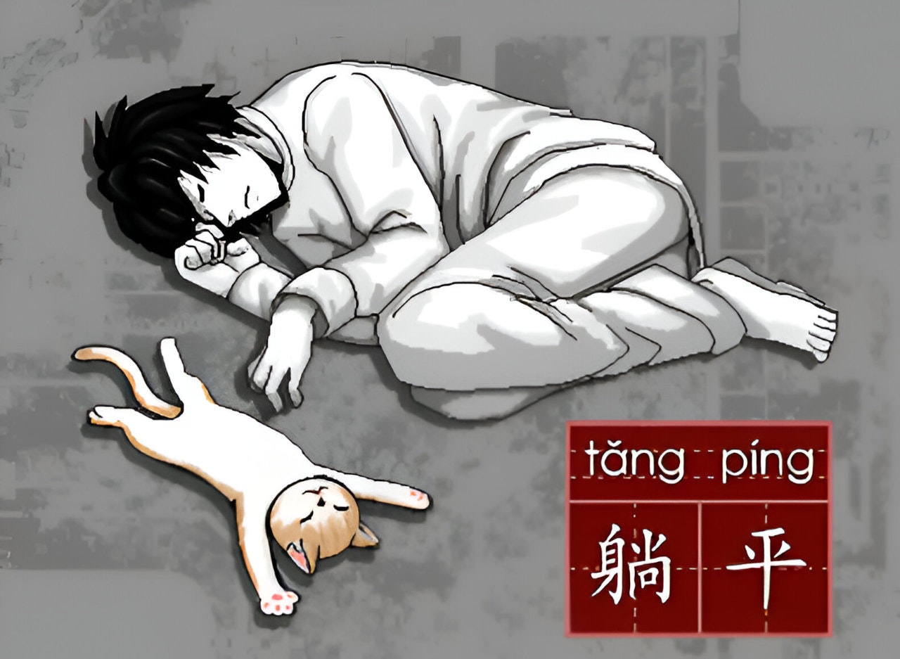 Tang Ping Cat - Memecoin Project media 8