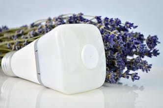 Vibrance gallery image