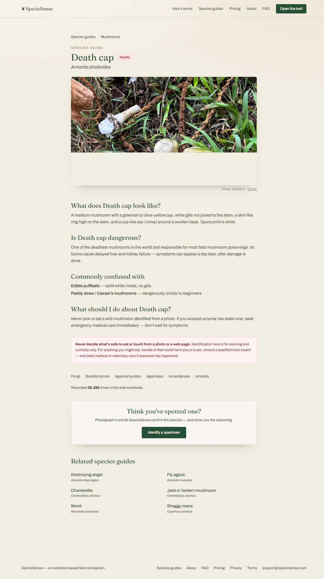 SpecieSense 截图 4