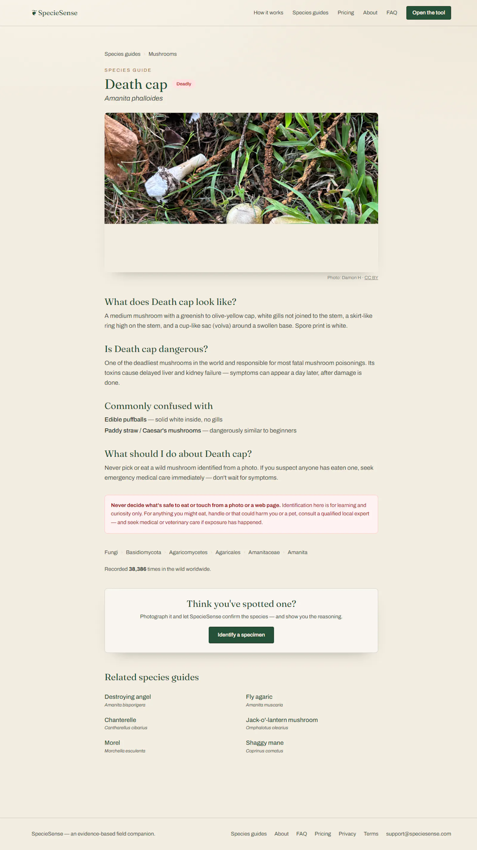 SpecieSense screenshot 4