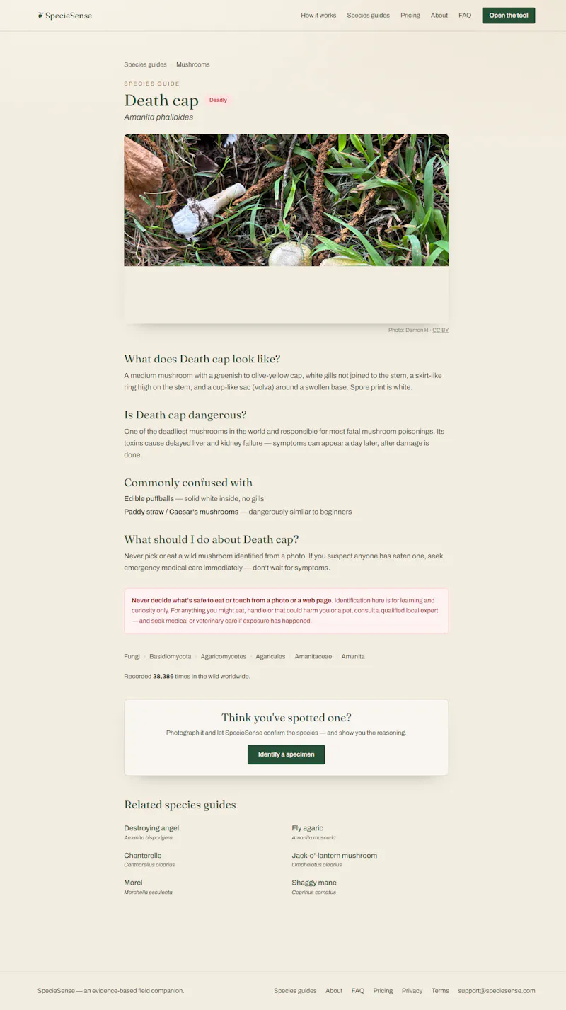 SpecieSense screenshot 4