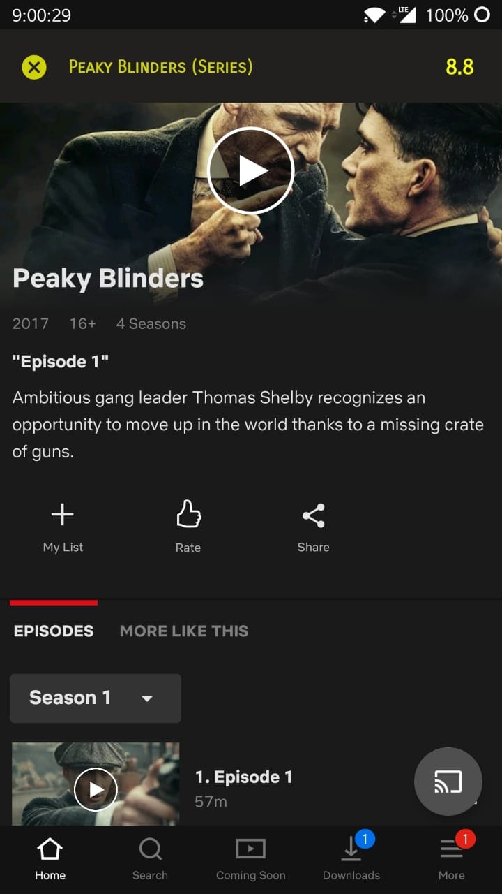 Netflix IMDB Plugin for Android gallery image