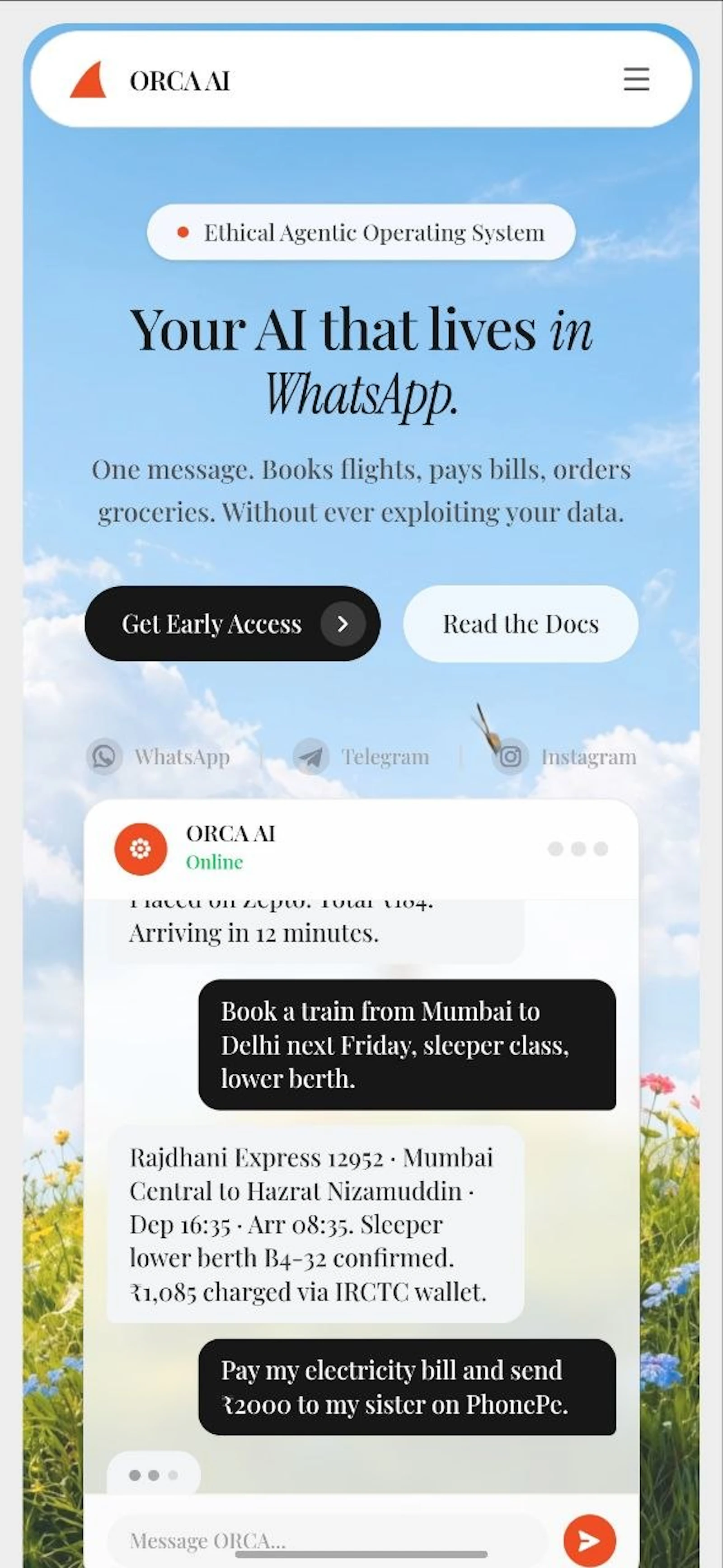 Orca AI screenshot 2