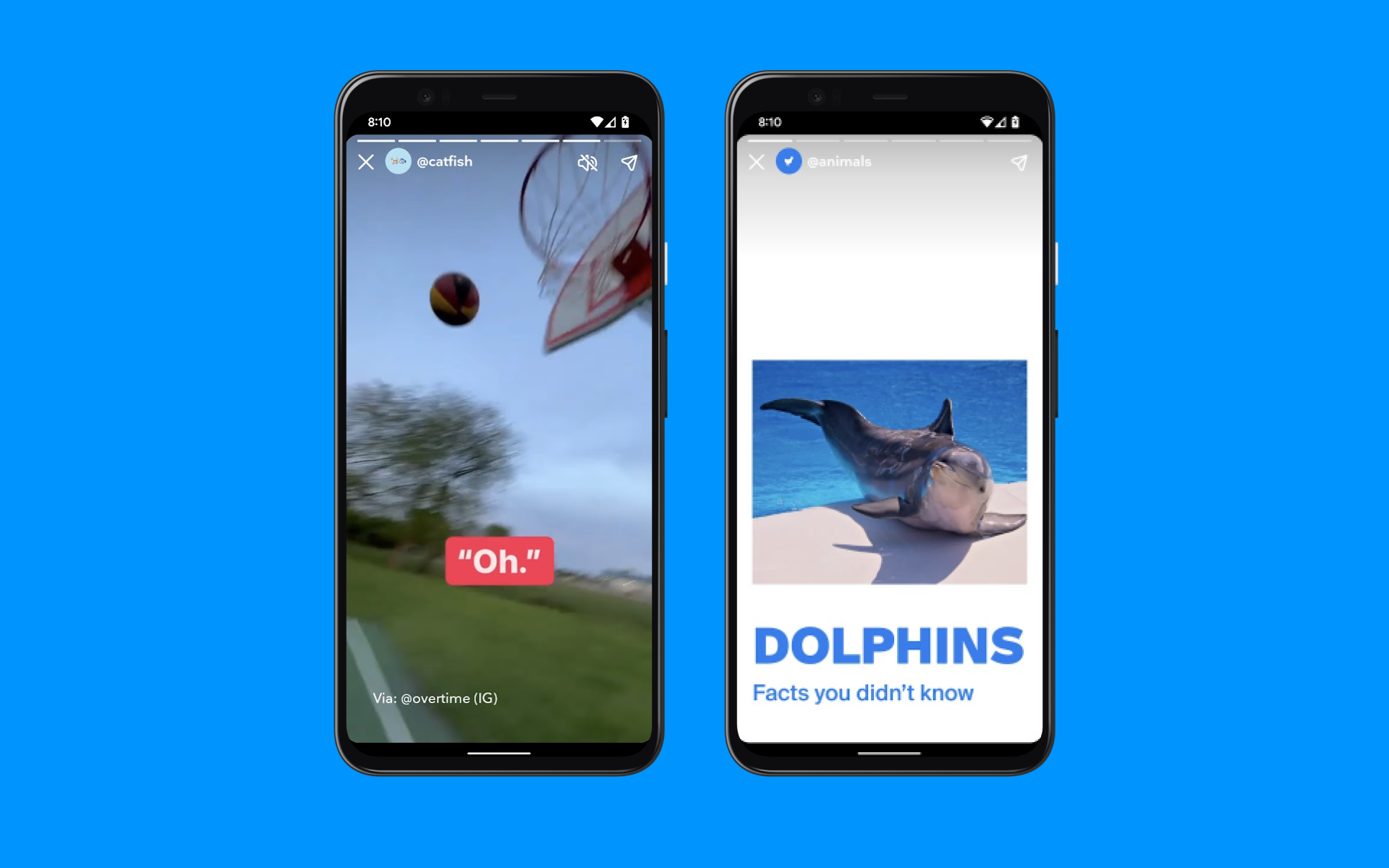 ARBOOX™ gallery image