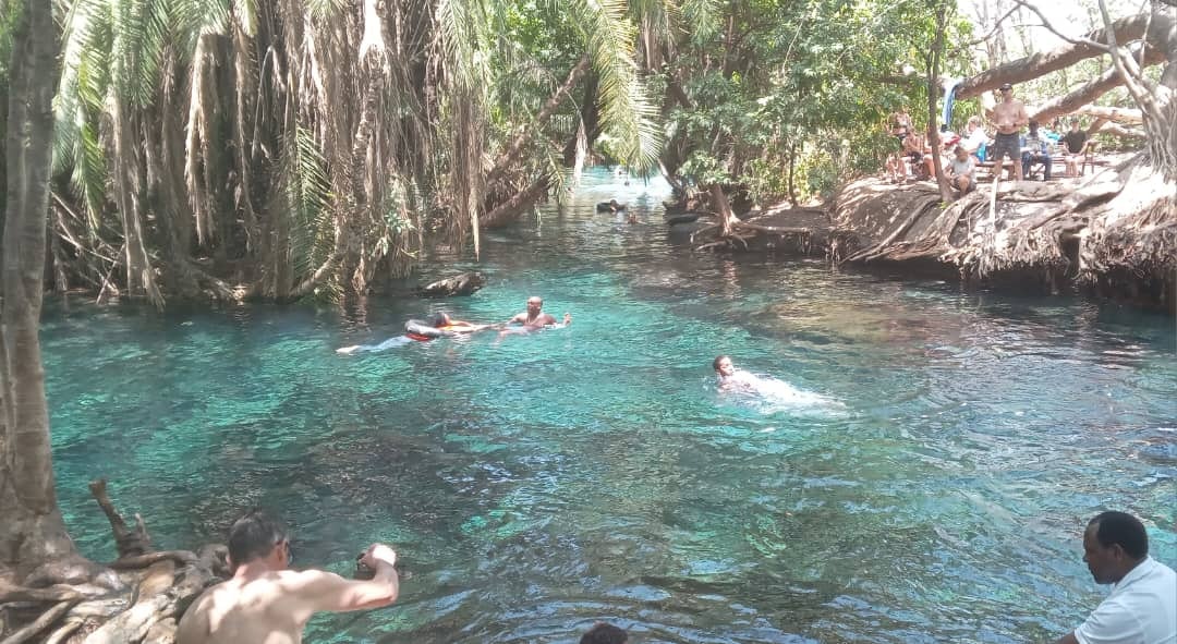 Africantrust Safari media 163