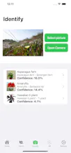 Plant Care gallery image