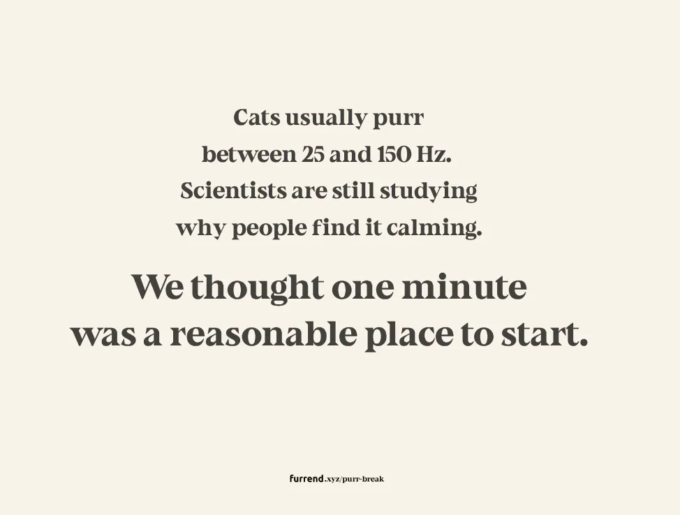 Purr Break gallery image