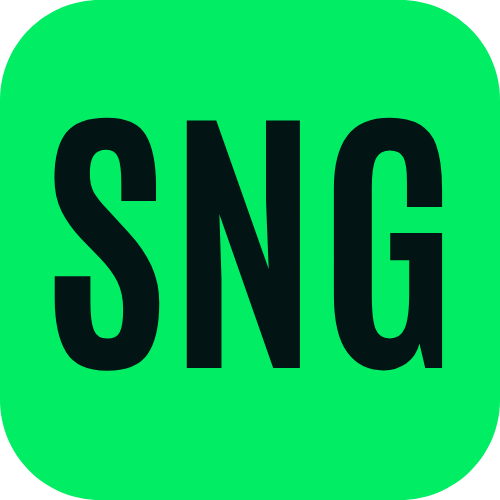 Smart Domain Generator logo