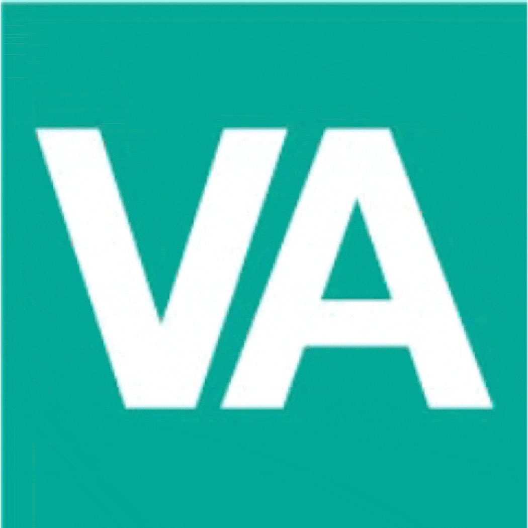 VideoAmigo: Vital Statistics