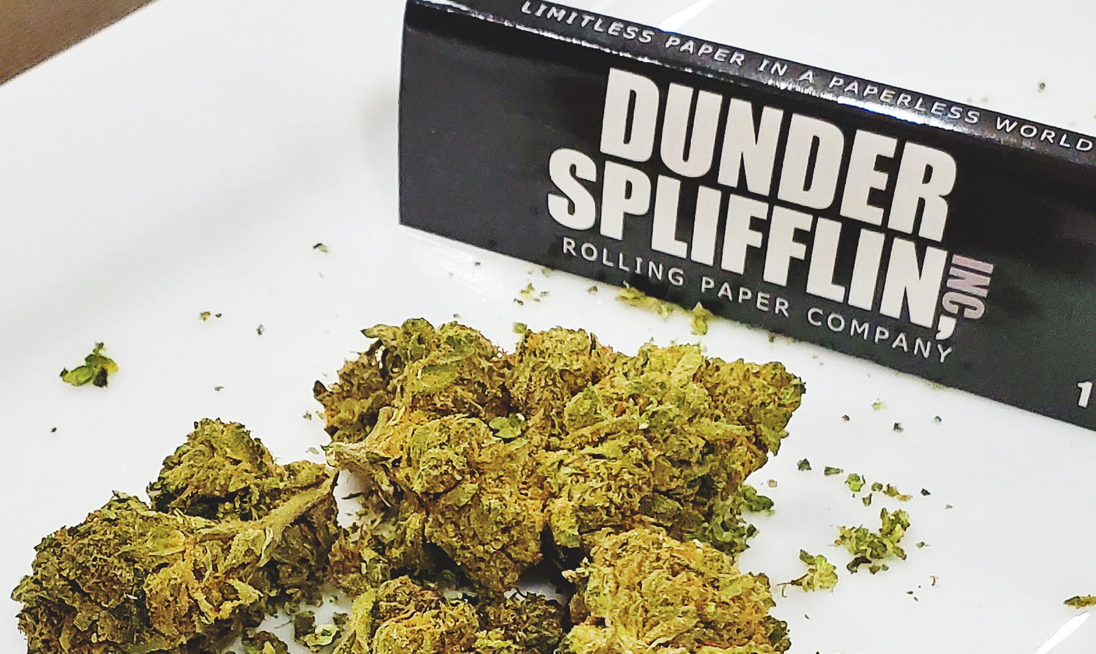 Dunder Splifflin gallery image