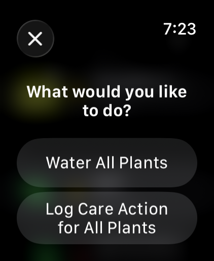 Plant Journaling gallery image