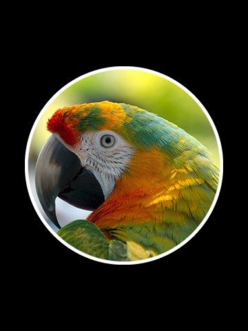 22 Clues gallery image