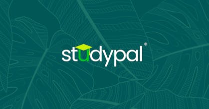StudyPal gallery image