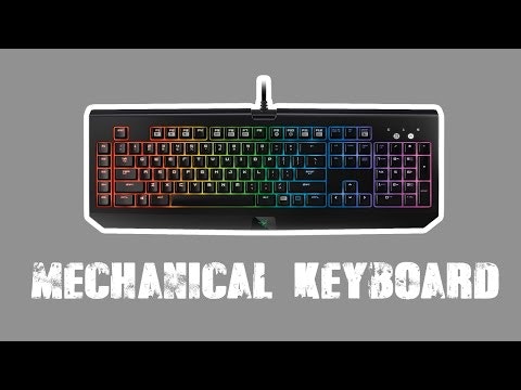 blockdit gallery image