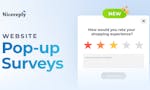 Nicereply Website Pop-up Surveys image