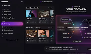Veena AI gallery image