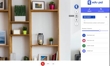 Edu-pal gallery image