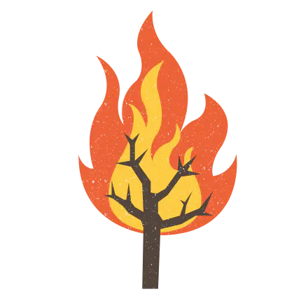 Wildfire Alerts