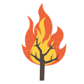 Wildfire Alerts