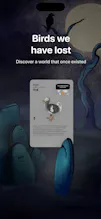 Birdora gallery image
