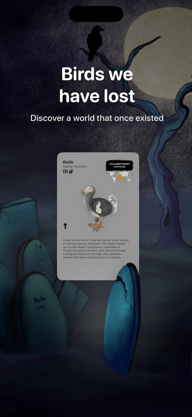 Birdora screenshot 5