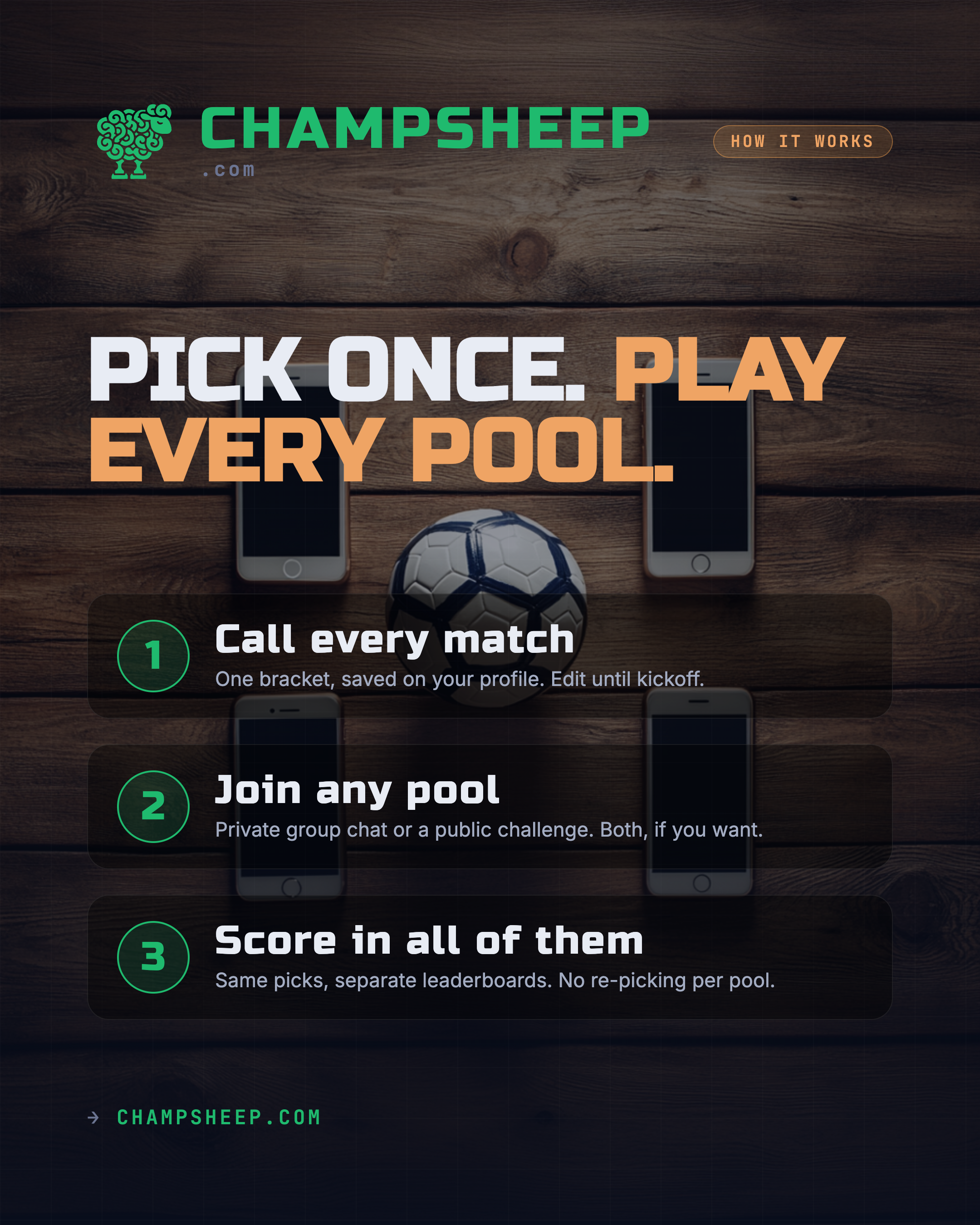 ChampSheep gallery image