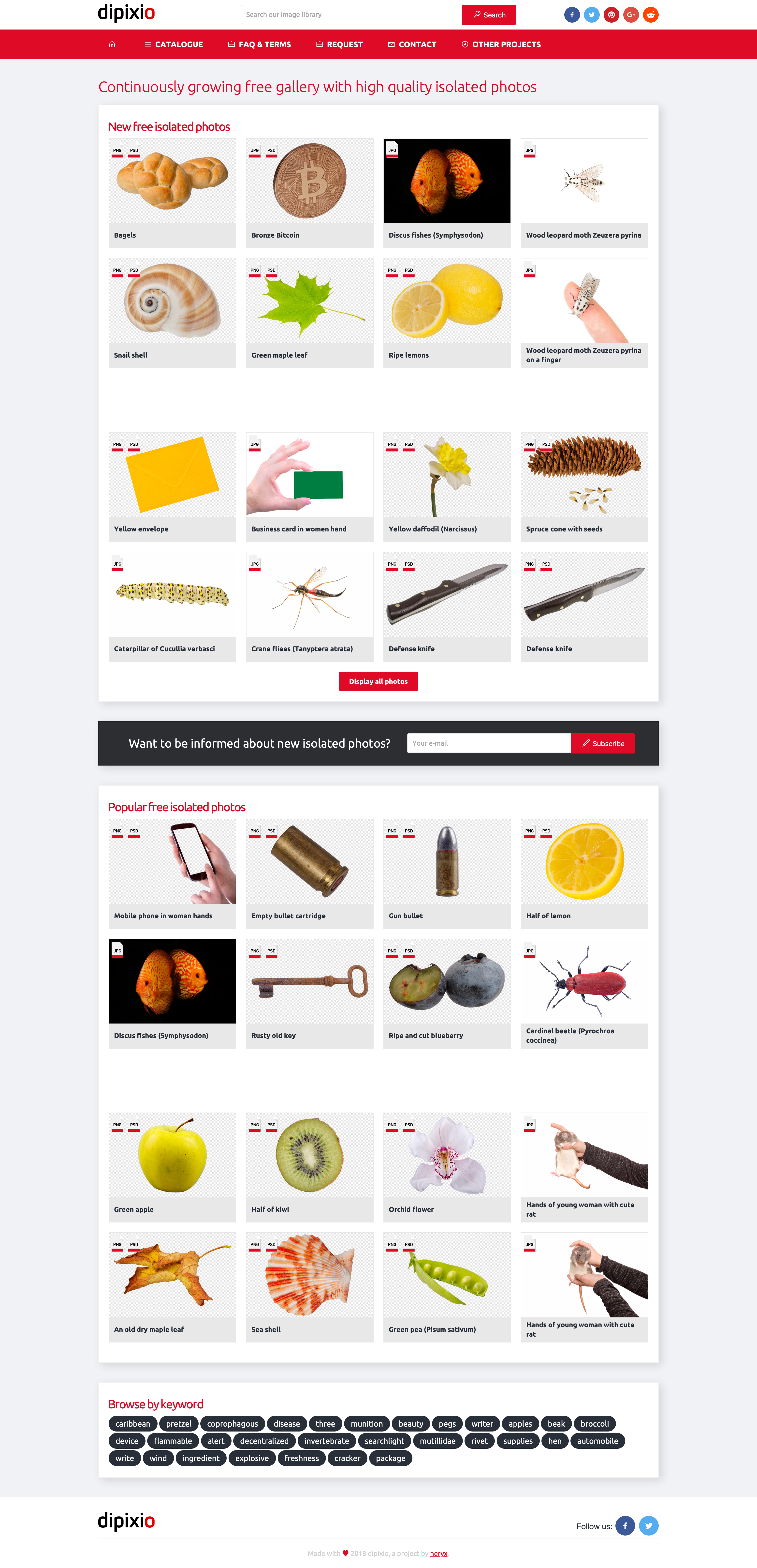 DIPIXIO gallery image