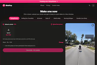 Blinkpop.video gallery image