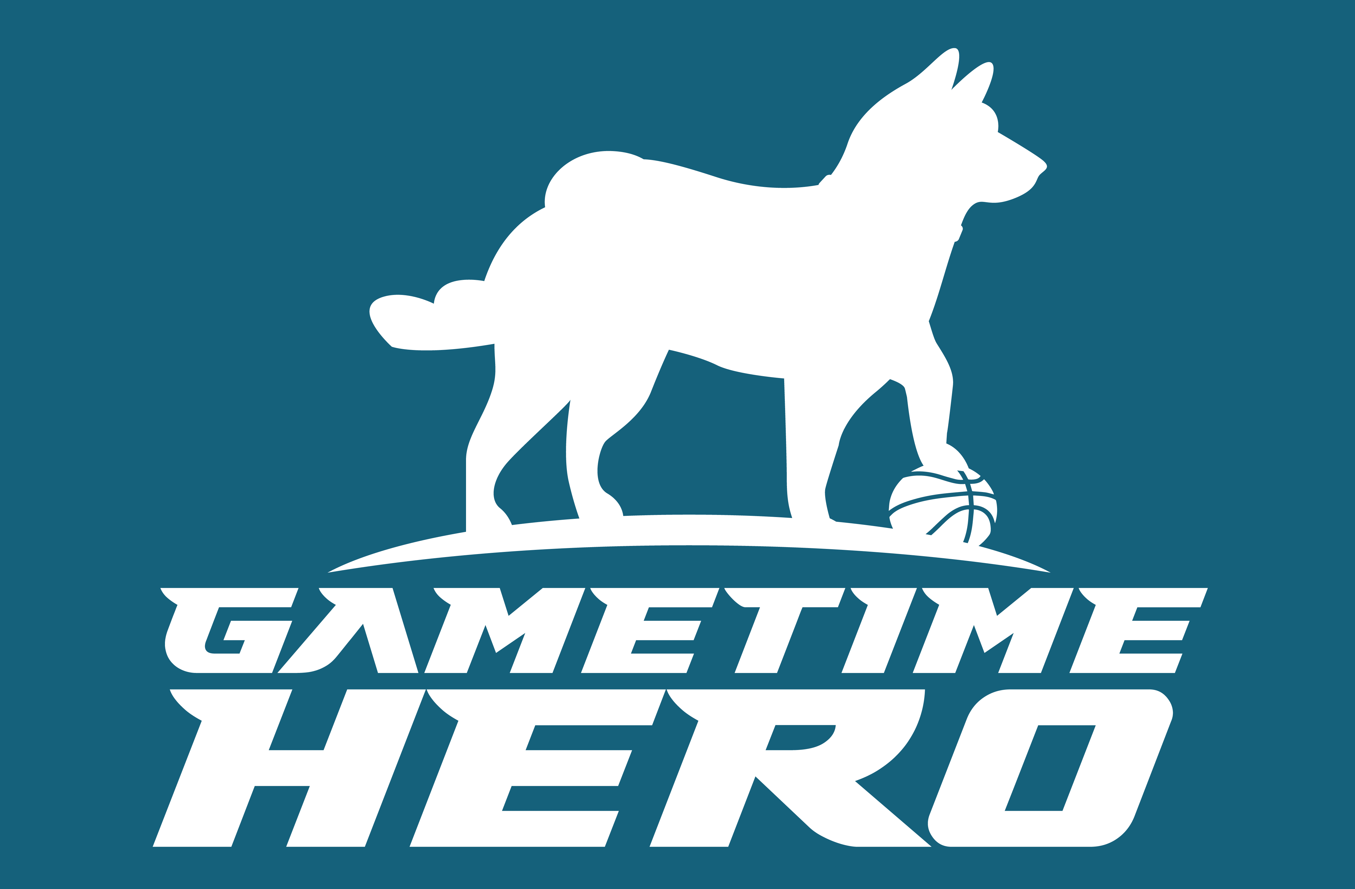 Hero Gametime