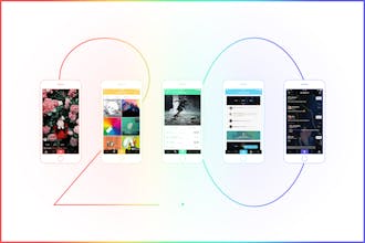 Splore gallery image