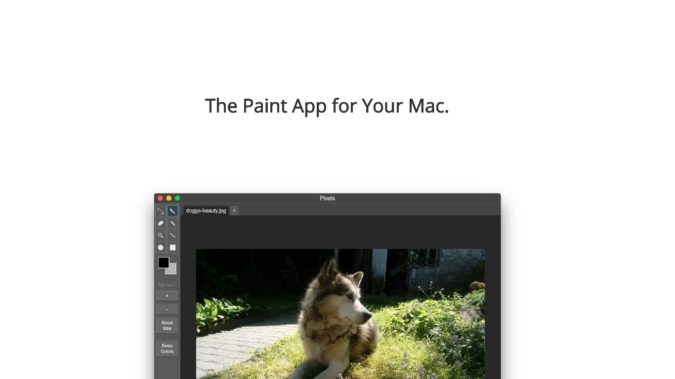 PixelsApp gallery image