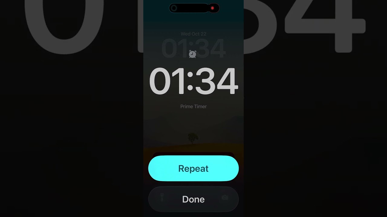 Prime Timer gallery image