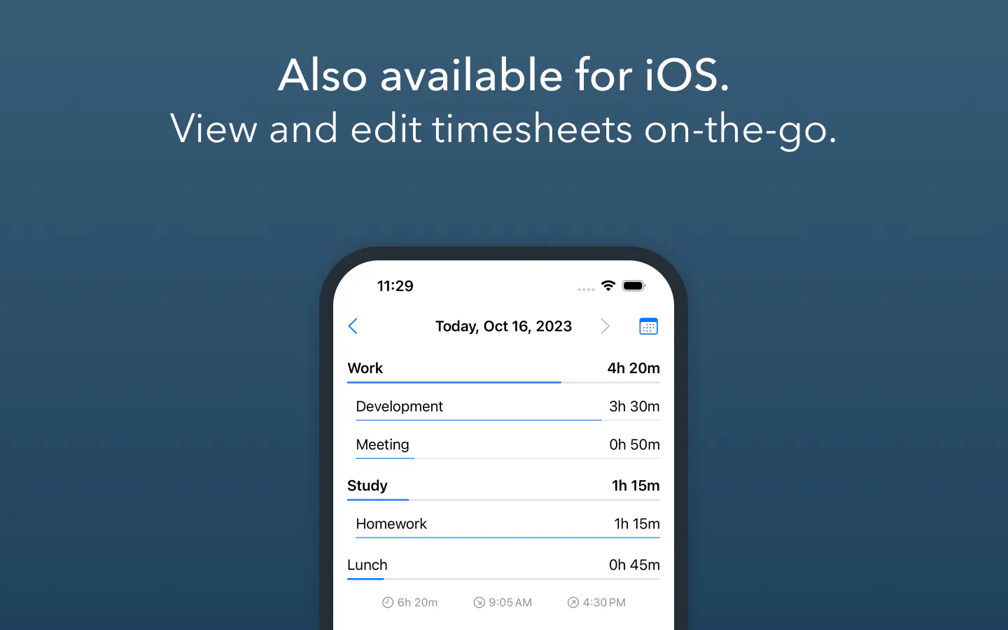 Daily Time Tracking gallery image