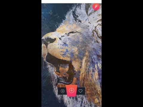 Wallz iOS and Android App App