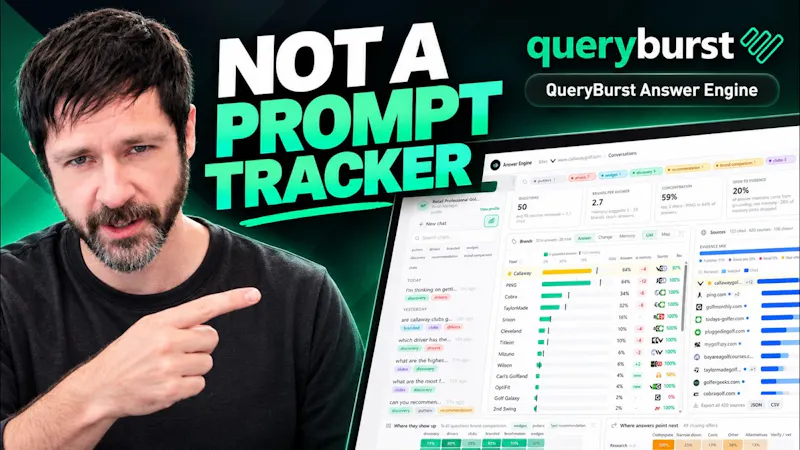 QueryBurst screenshot 1 (video preview)