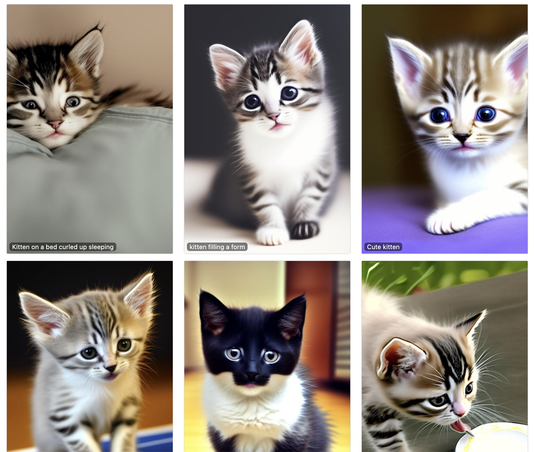 Gatitos ai media 3