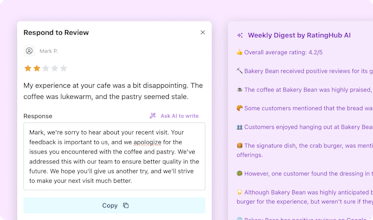 Visual representation of our review analysis platform showcasing data-driven insights for smarter business decisions.