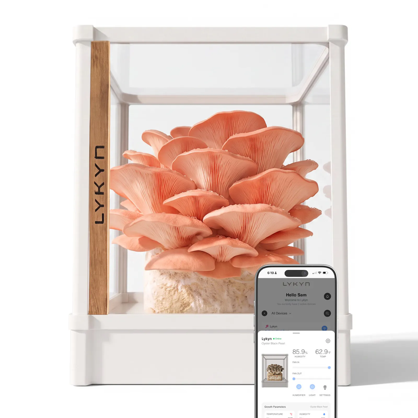 Lykyn Smart Mushroom Grow Box screenshot 5