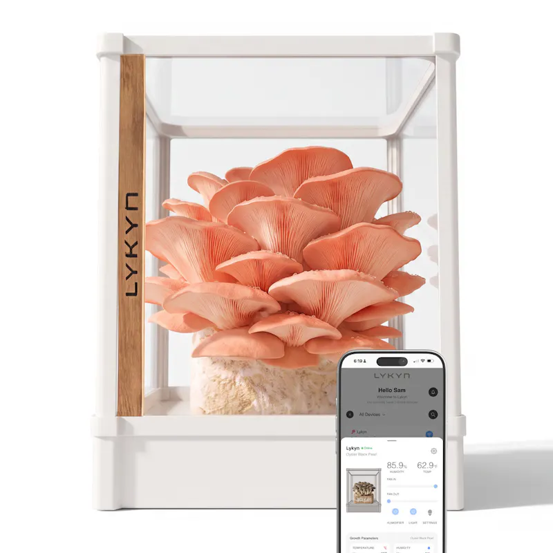 Lykyn Smart Mushroom Grow Box screenshot 5