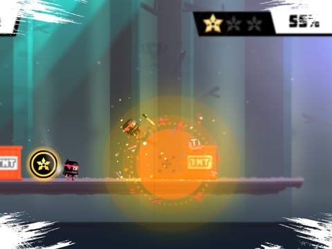 The Last Ninja Twins gallery image