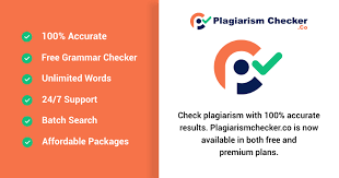 El mejor verificador de plagio SEO preciso