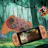 Stoga Nook Series Controller