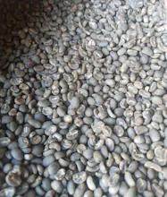 GAYO SUMATRA ARABICA GREEN COFFEE BEANS gallery image