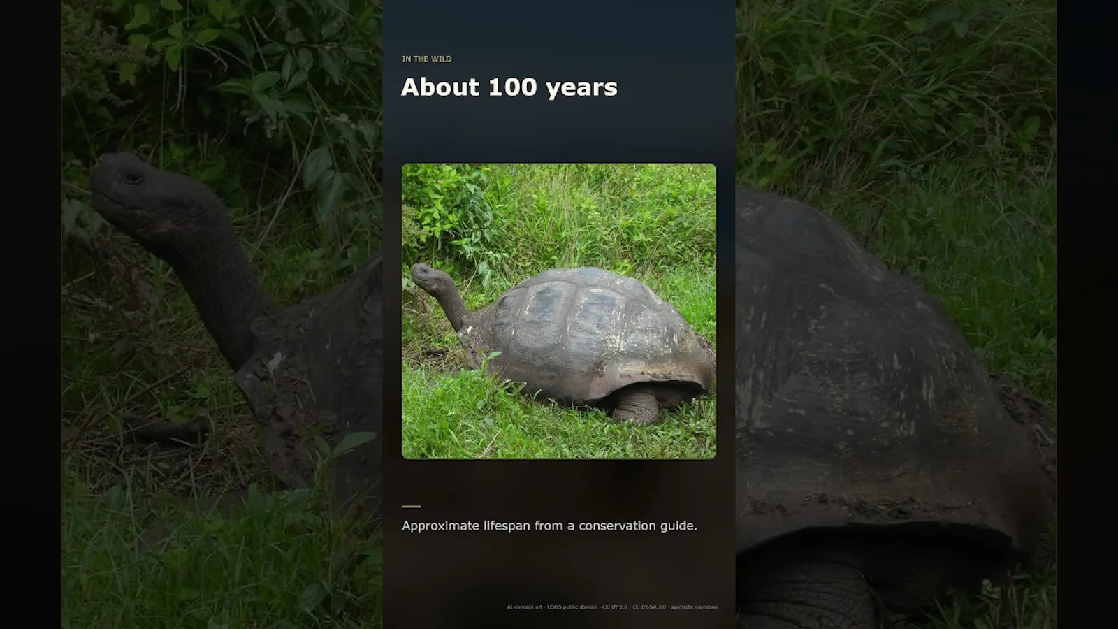 Watt  screenshot 2 (video preview)
