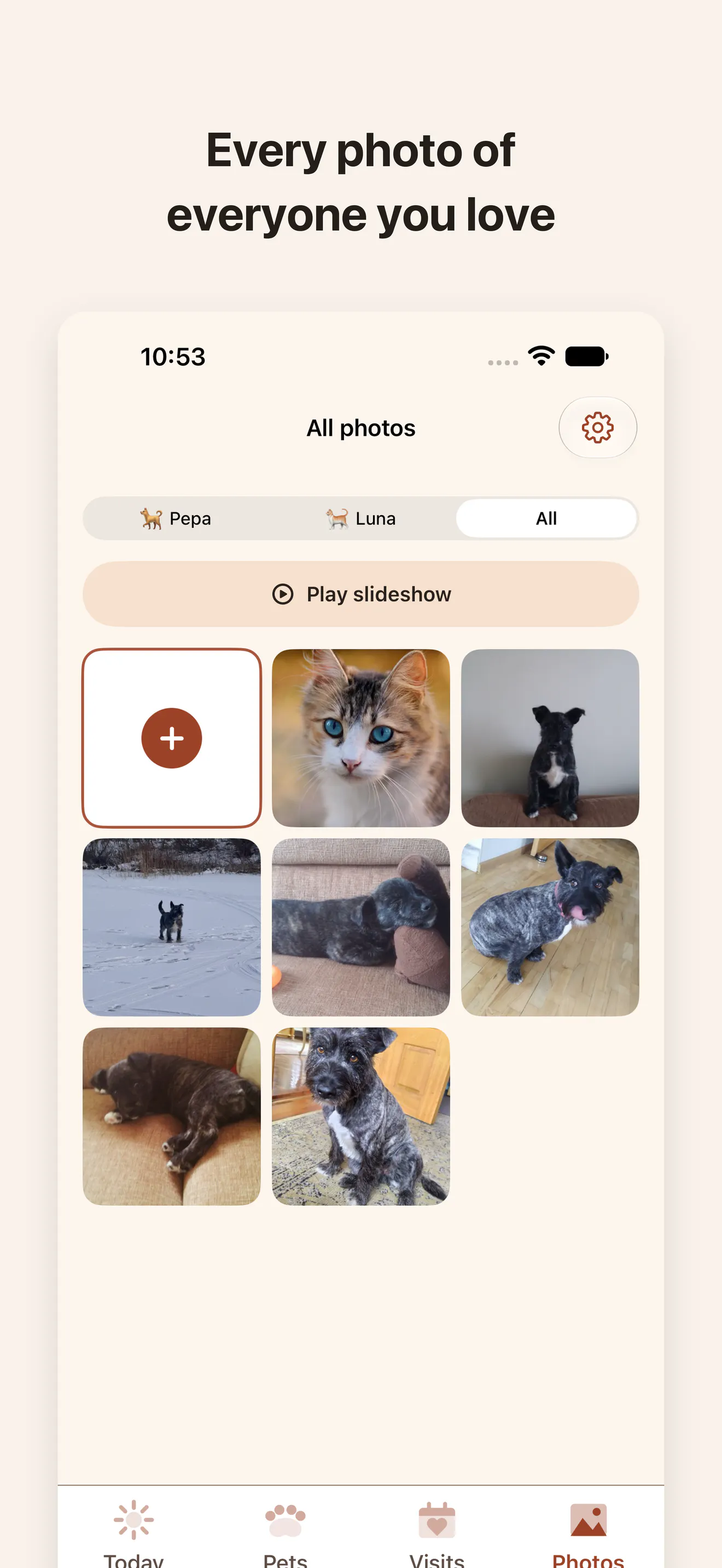 Our Little Paws gallery image