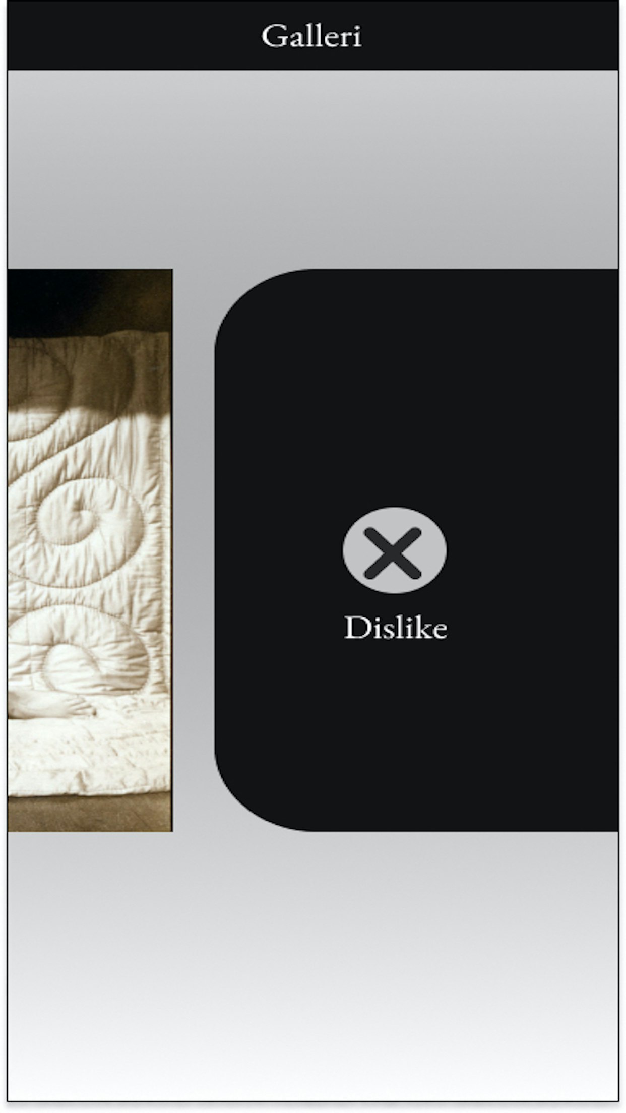 Galleri gallery image