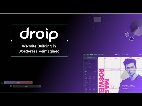 startuptile Droip-Simplified & scalable no-code website builder for WordPress