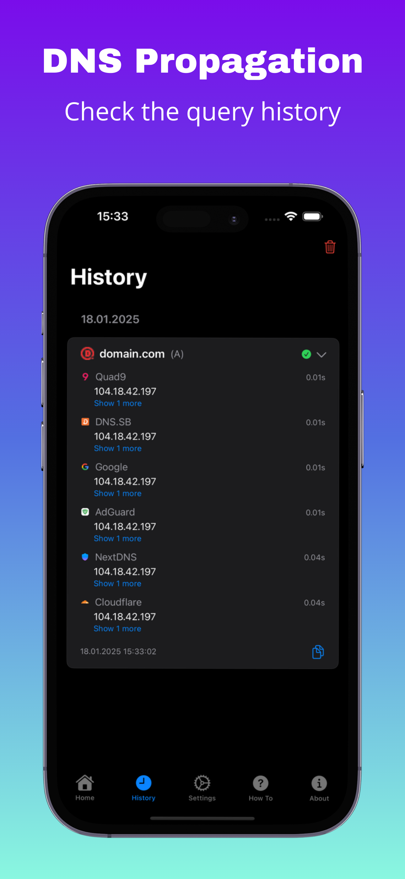 DNS Propagation gallery image
