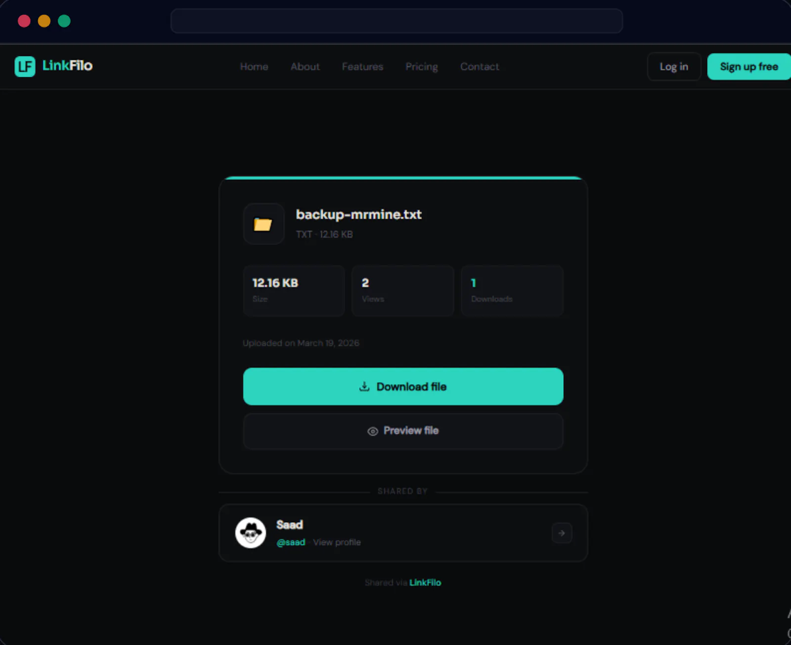 LinkFilo screenshot 4
